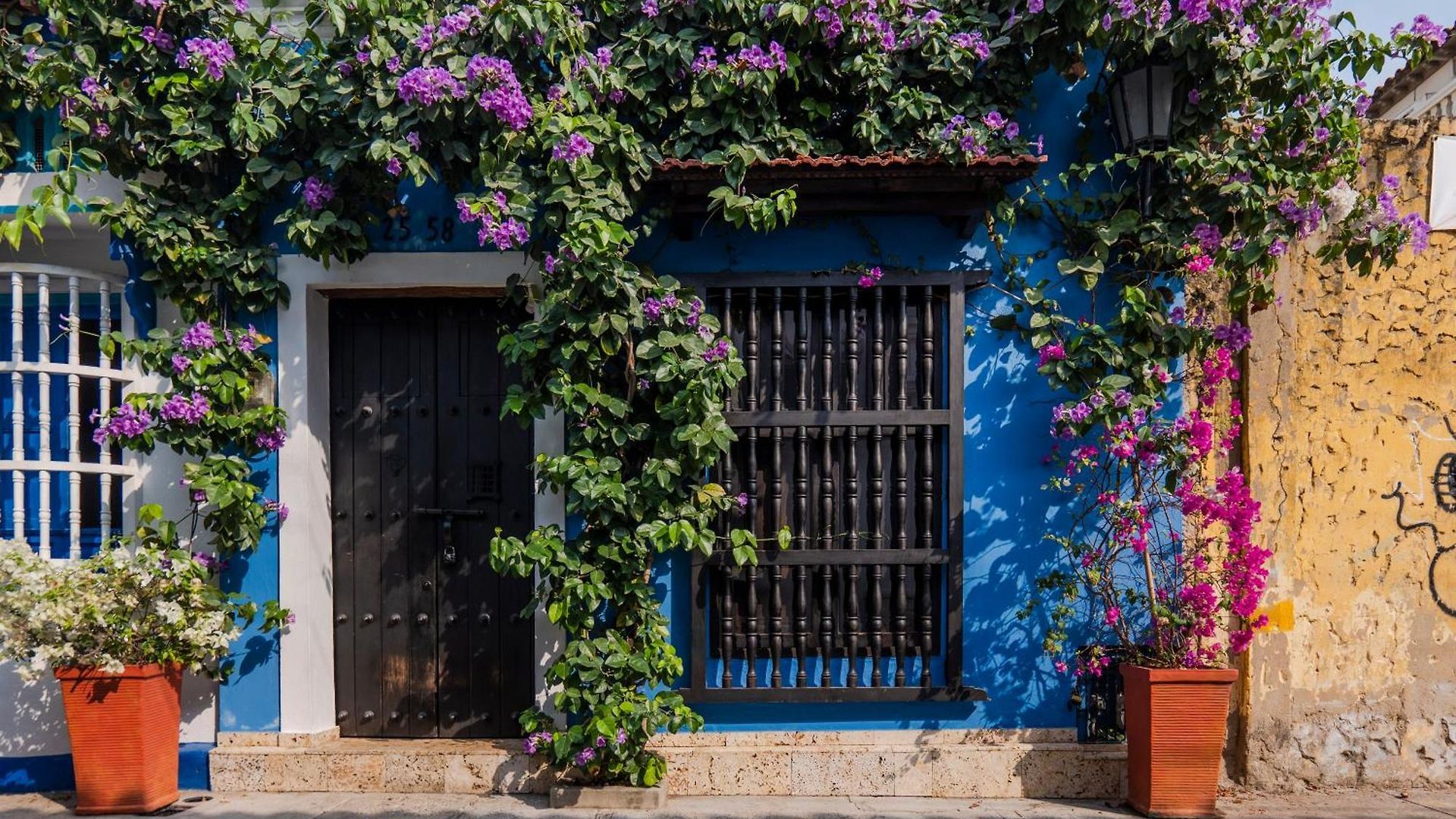 Casa Familiar - Maria De Palmas -getsemani Holiday home